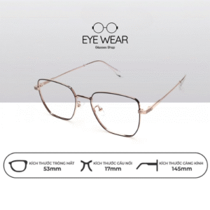 Gọng Kính Kim Loại Cao Cấp EYEWEAR – EY08102